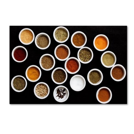 Sarah Saratonina '20 Flavors' Canvas Art,12x19